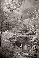 Hidden Pond Near Wingdale, NY  Dave Hickey